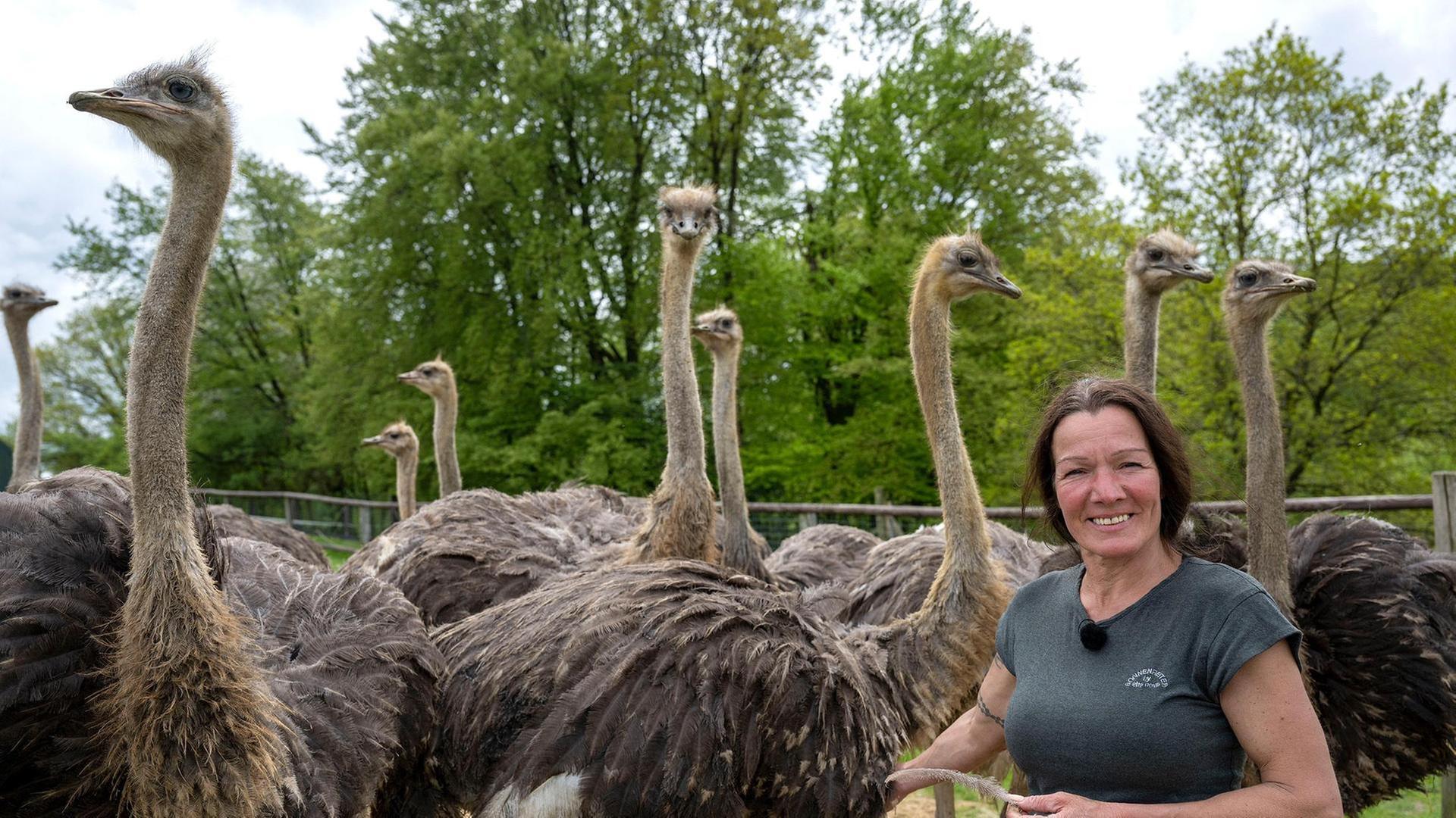 Markttag für die Fischerin