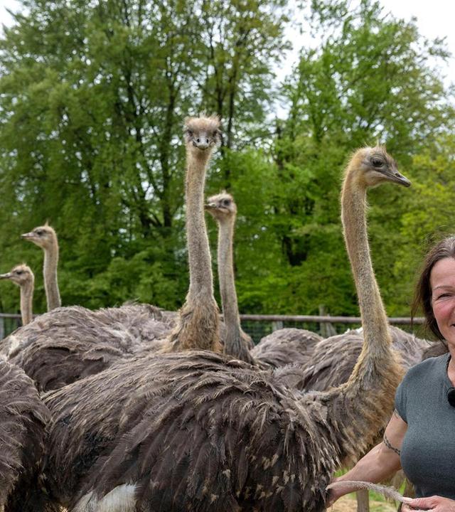 Markttag für die Fischerin