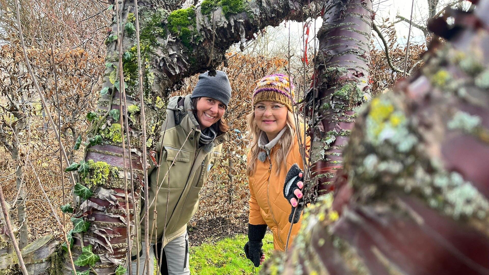 MDR Garten vom 16. Januar