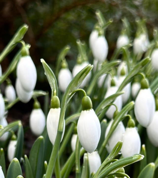 MDR Garten vom 20. Februar