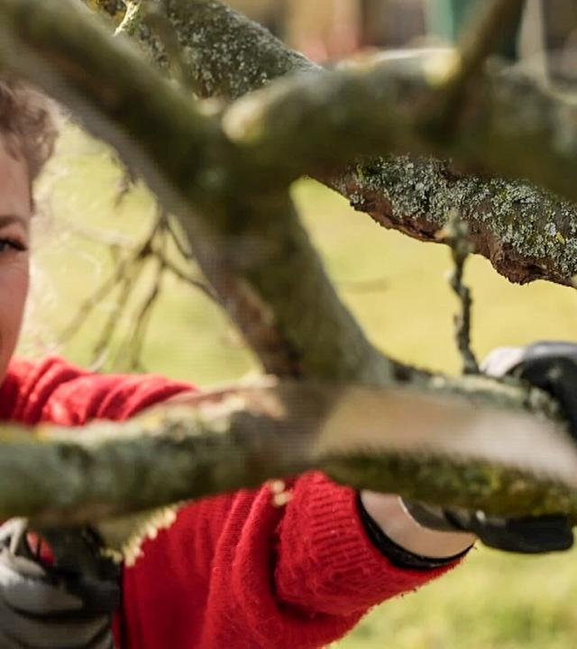 MDR Garten vom 6. März