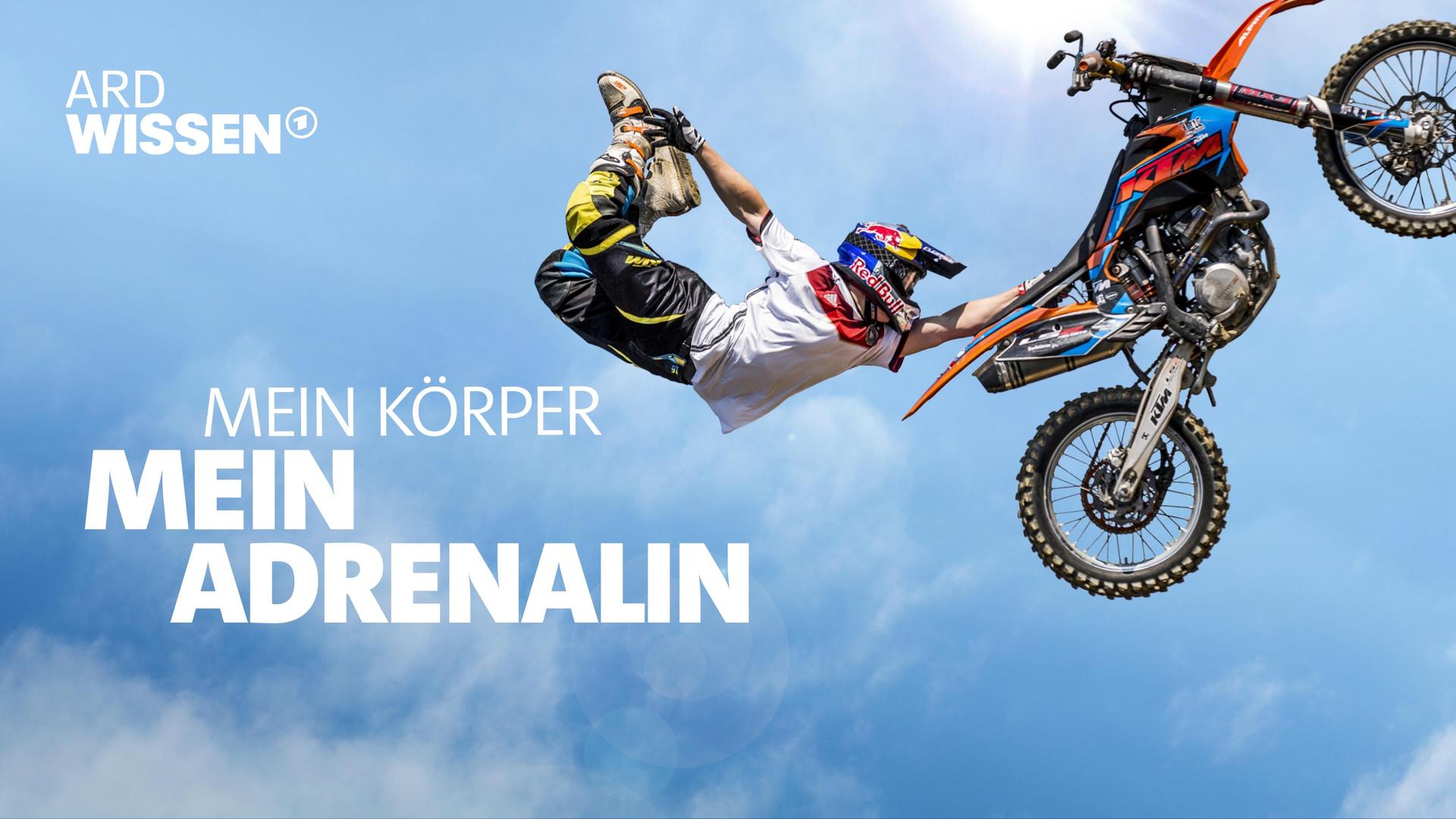 Mein Körper. Mein Adrenalin · Actionhormon und Lebensretter