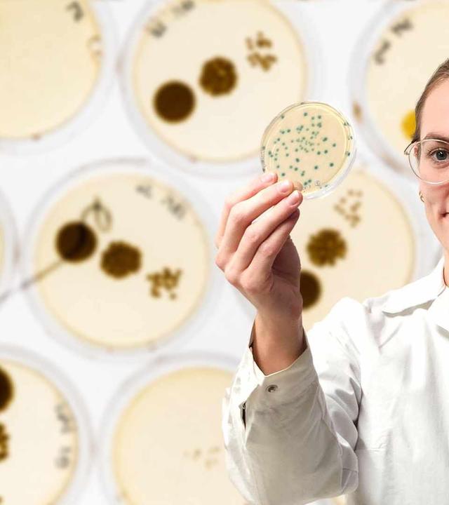 Mit Biotechnologie Innovationen für Medizin, Ernährung und Umwelt vorantreiben