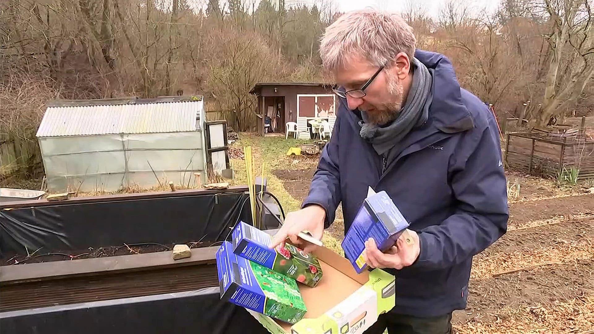 Mit Gründünger den Boden verbessern