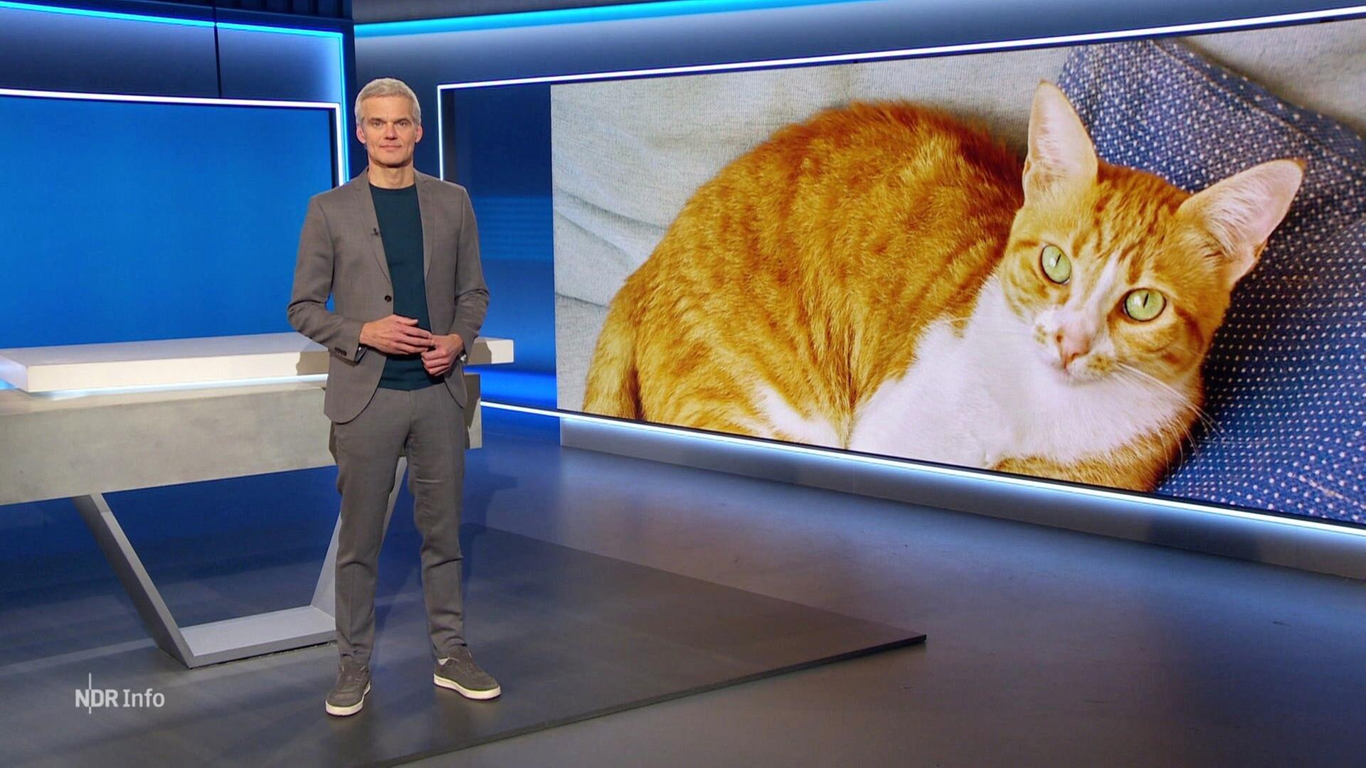 NDR Info 17:00 - 11.12.2024