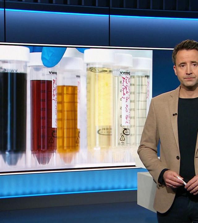 NDR Info 21:45 - 14.11.2024