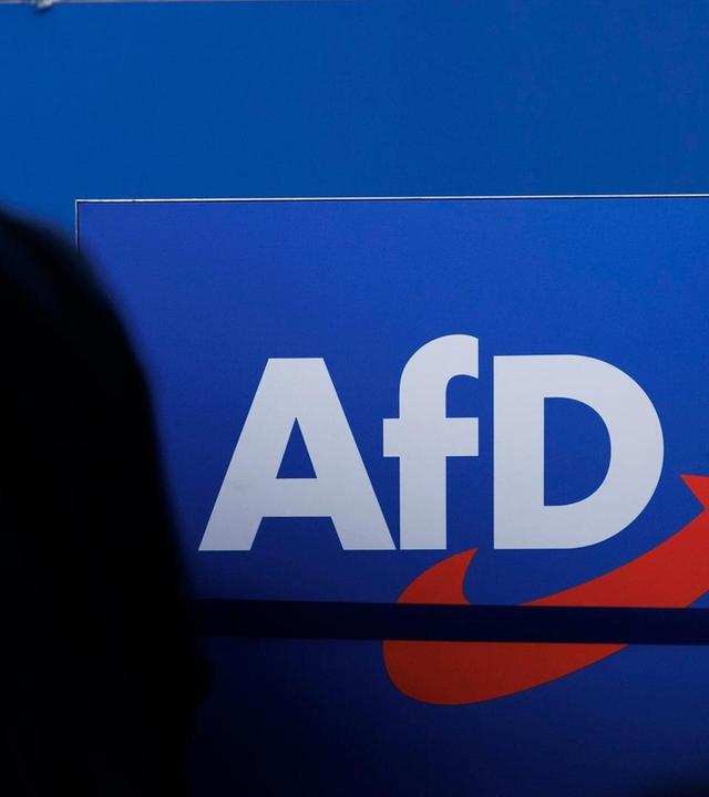 Neue Initiative für AfD-Verbot: Was halten Sie davon?
