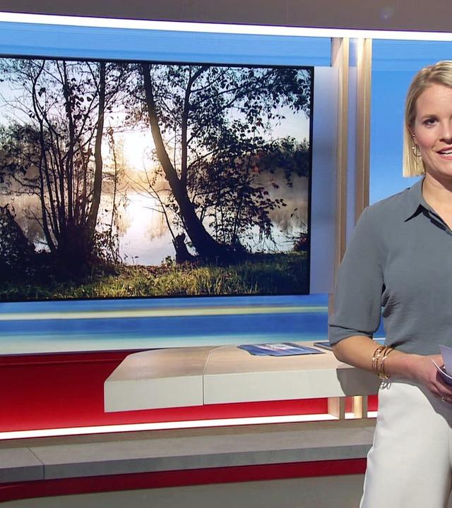 Niedersachsen 18.00 - 06.11.2024