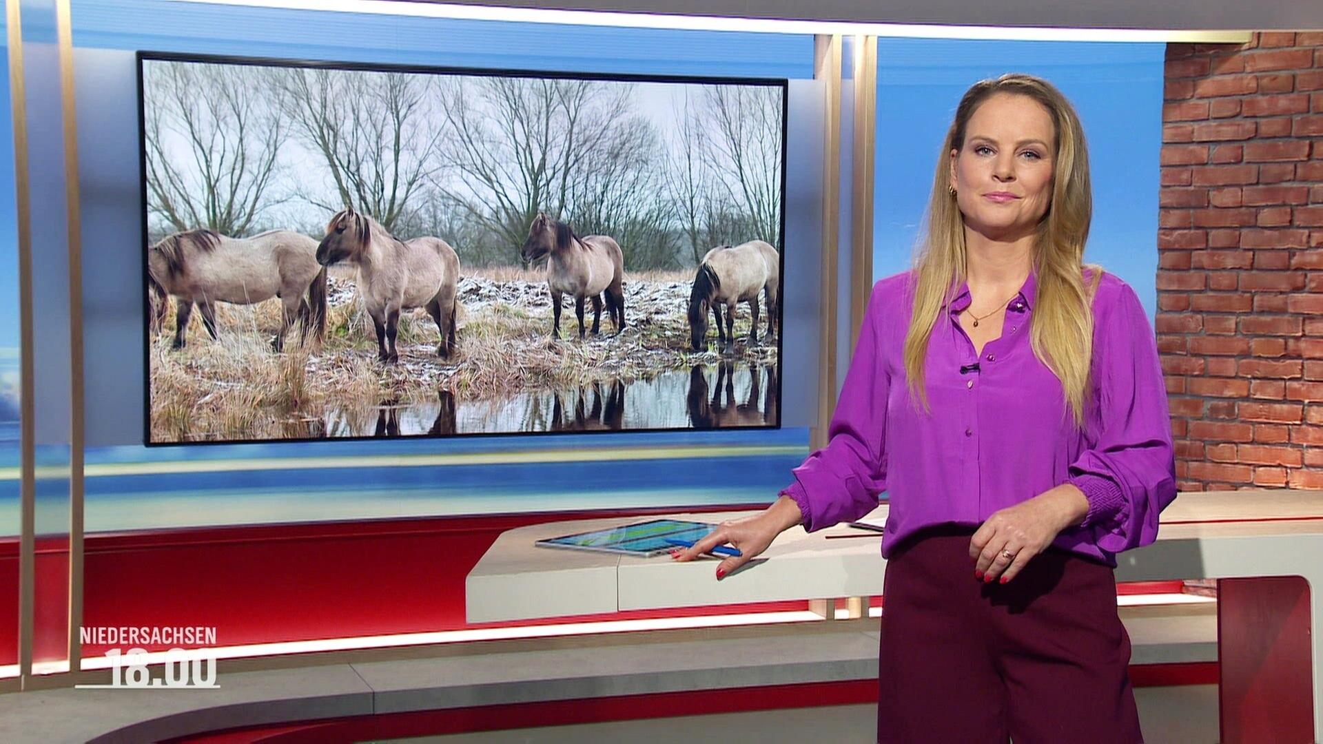Niedersachsen 18.00 - 13.01.2025