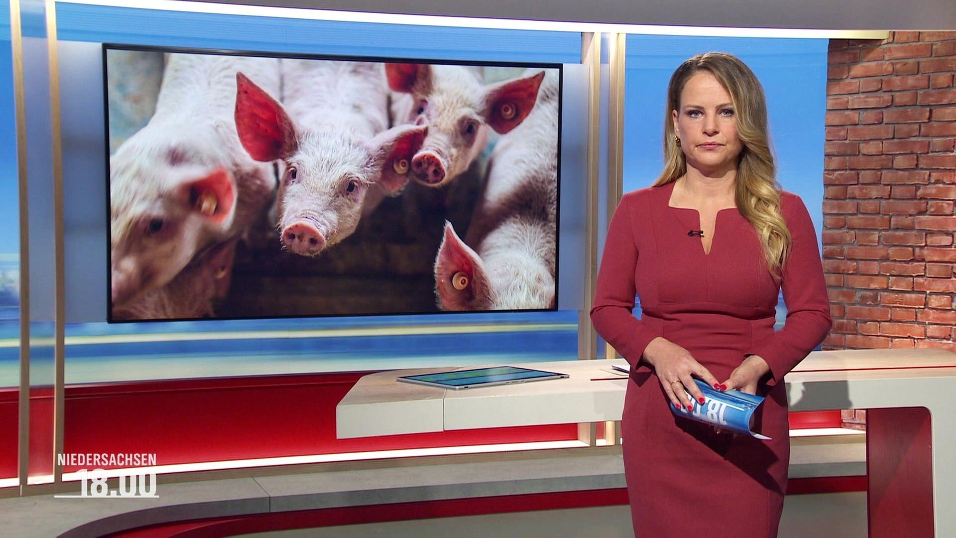 Niedersachsen 18.00 - 14.01.2025