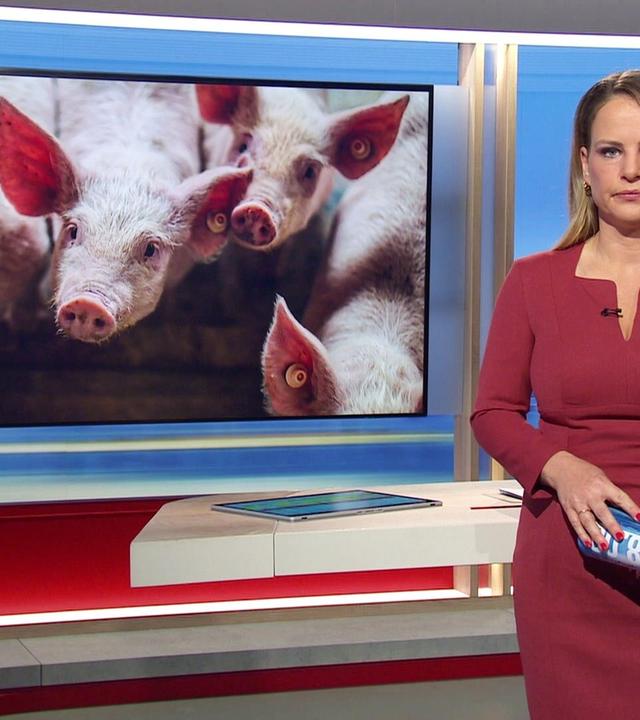 Niedersachsen 18.00 - 14.01.2025