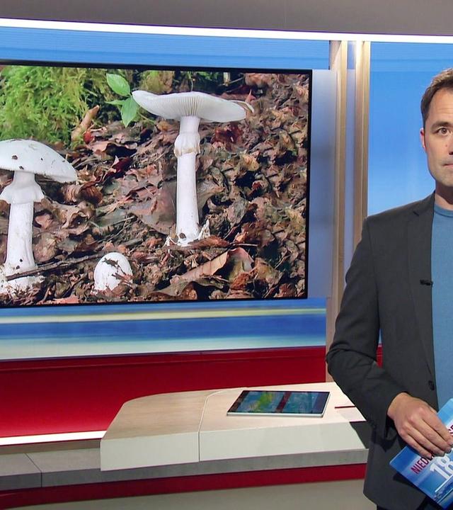 Niedersachsen 18.00 - 16.10.2024