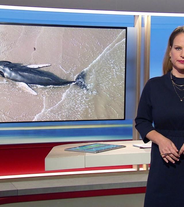 Niedersachsen 18.00 - 21.02.2025