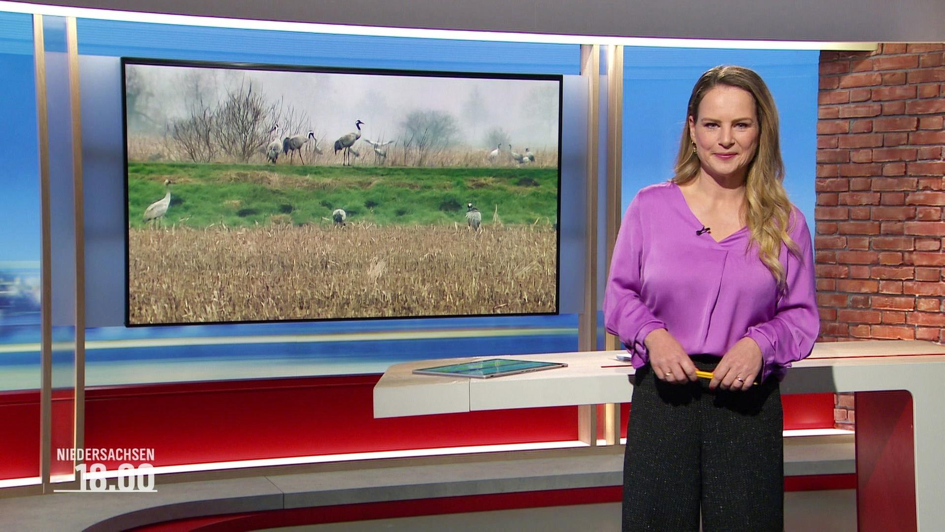 Niedersachsen 18.00 - 28.02.2025
