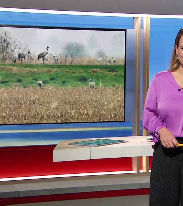 Niedersachsen 18.00 - 28.02.2025