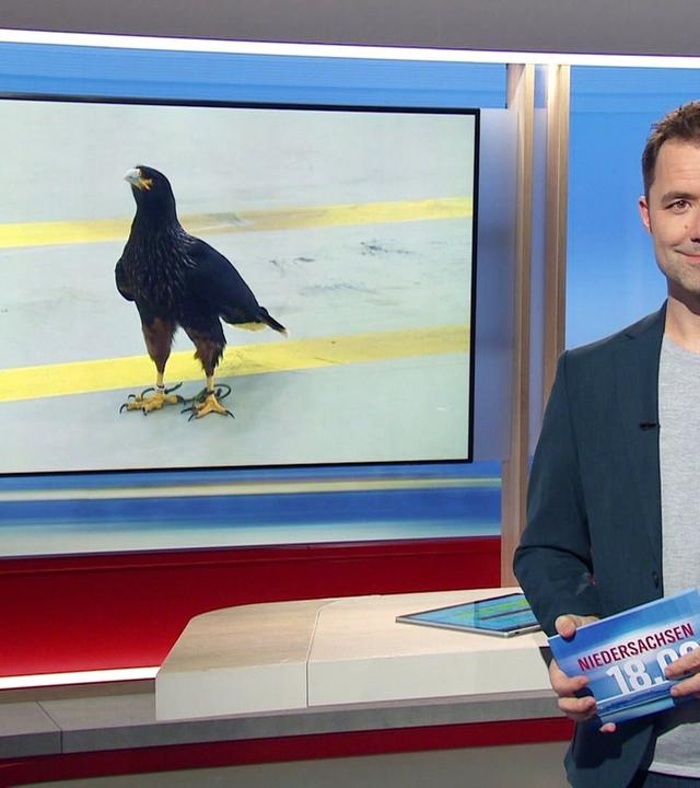 Niedersachsen 18.00 - 29.01.2025