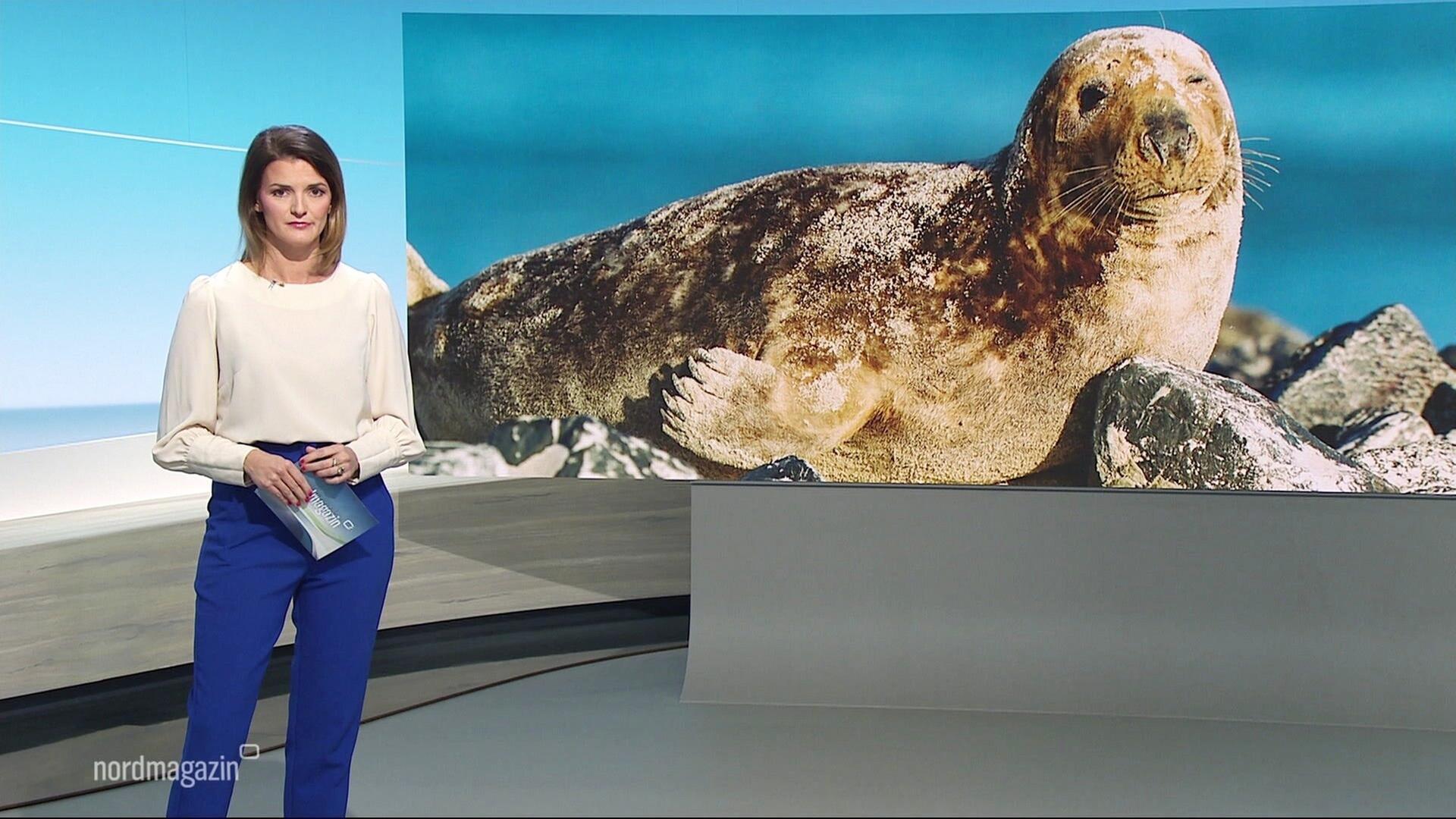 Nordmagazin - 15.11.2024