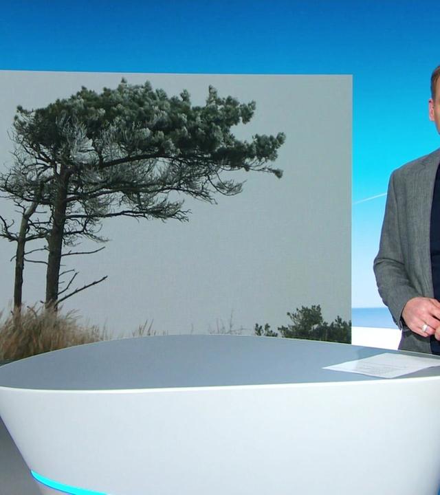 Nordmagazin - Land und Leute - 04.12.2024