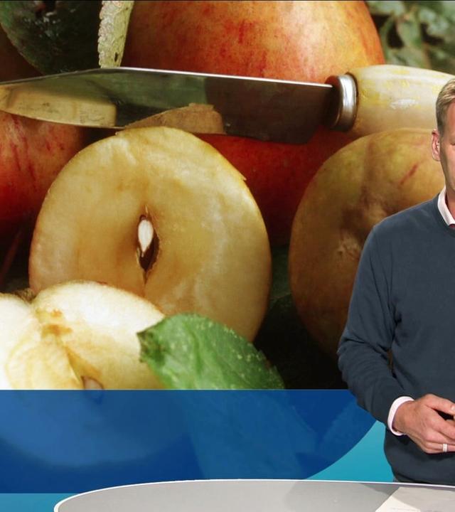 Nordmagazin - Land und Leute - 08.10.2024