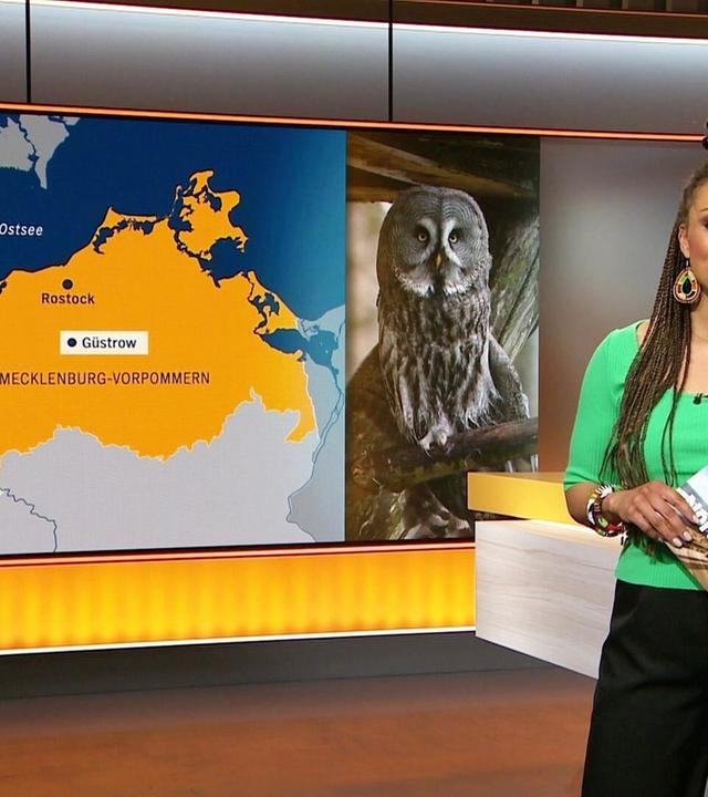 Nordtour - 02.03.2024