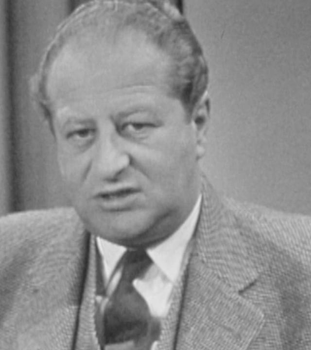 Österreichs Außenminister Bruno Kreisky im Gespräch