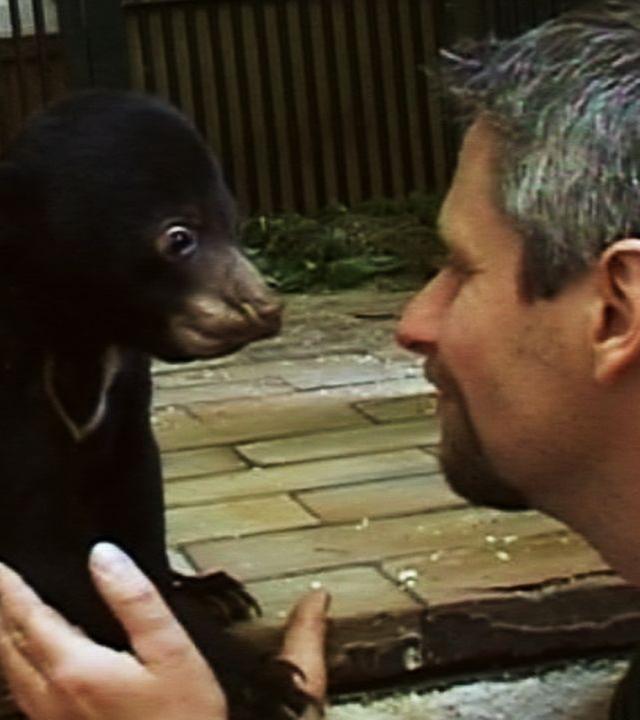 Panda, Gorilla & Co.