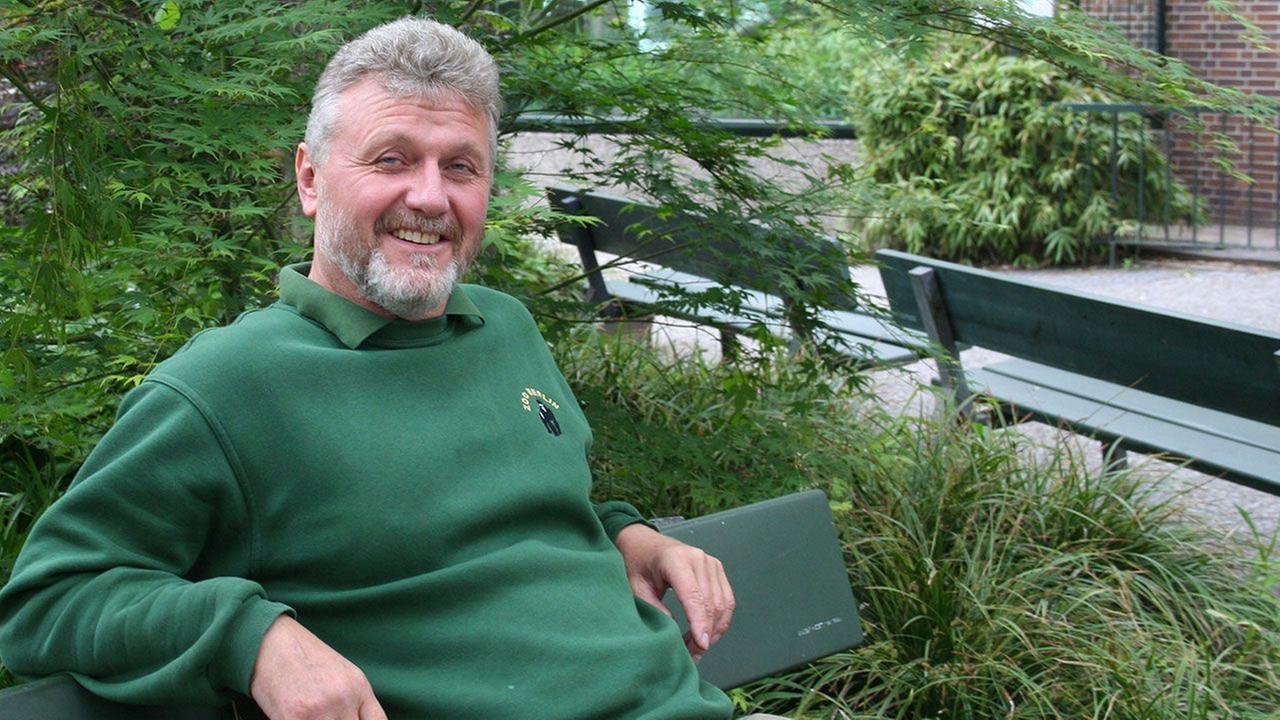 Panda, Gorilla & Co.: Morgenstimmung