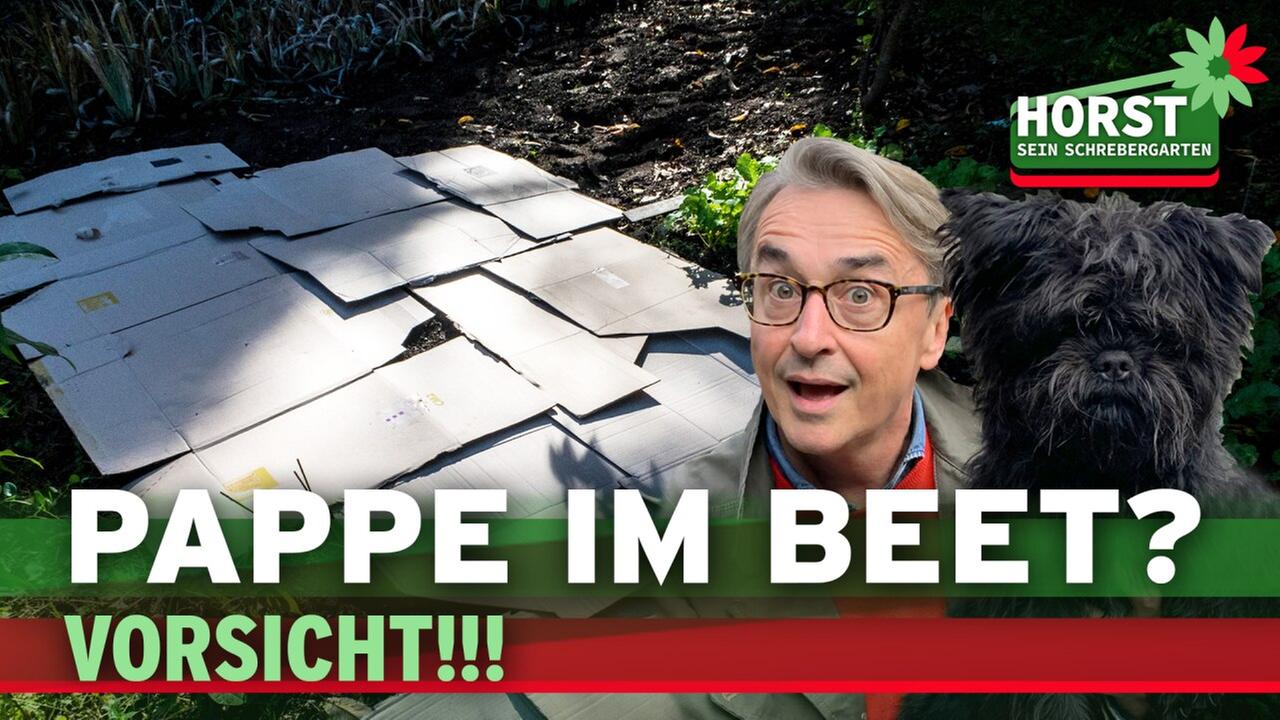 Pappe im Beet - Altpapier und Karton im Garten richtig einsetzen