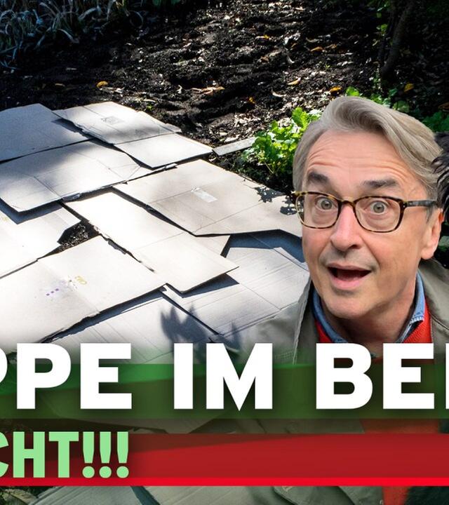 Pappe im Beet - Altpapier und Karton im Garten richtig einsetzen