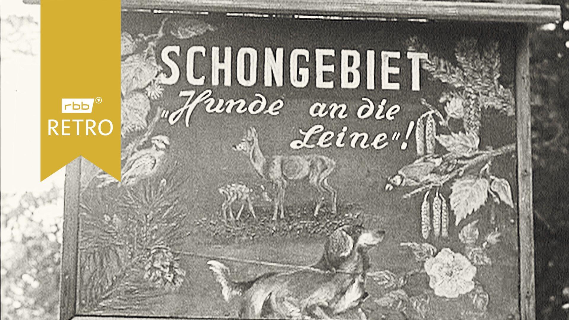 Plakat-Aktion gegen wildernde Hunde