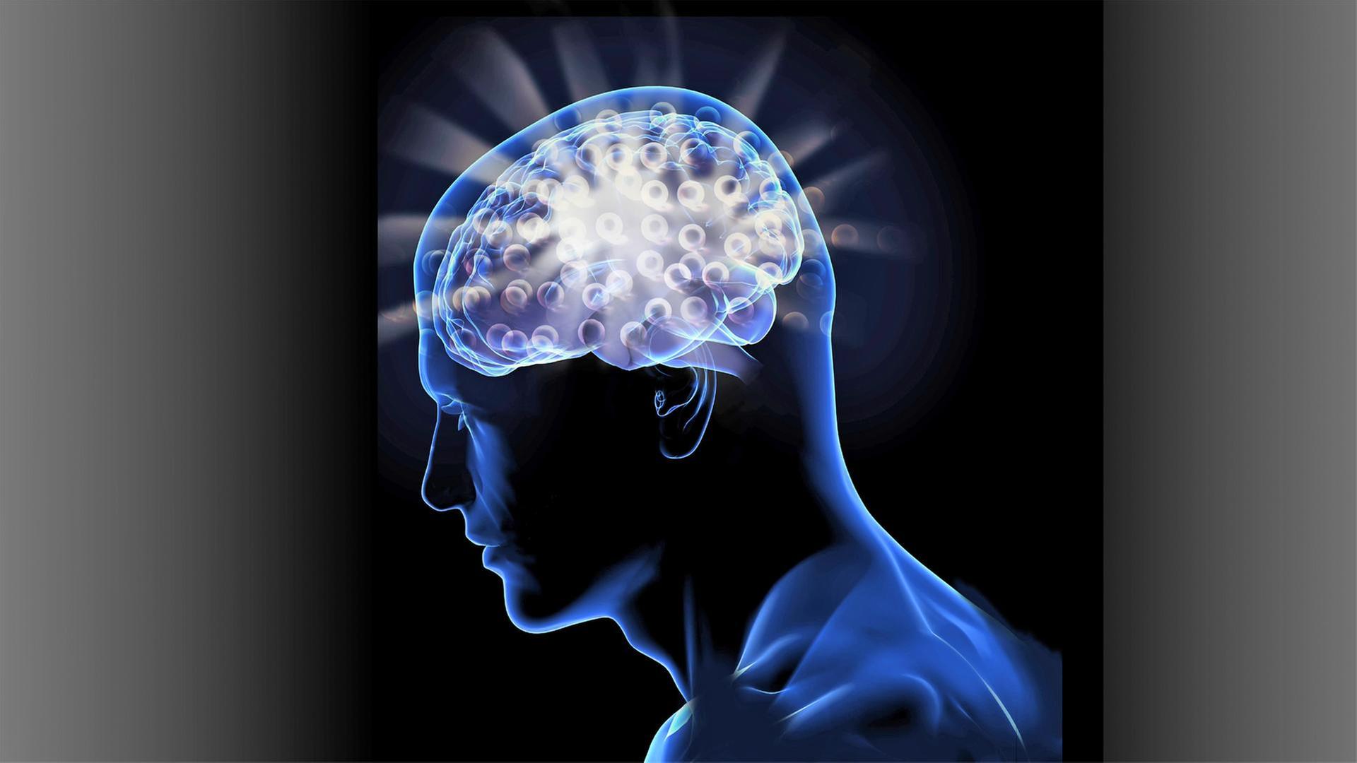 Power für den Kopf - Chronopharmakologie - Stadtpollen