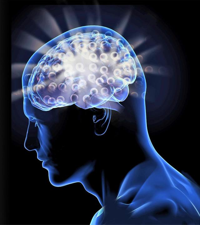 Power für den Kopf - Chronopharmakologie - Stadtpollen