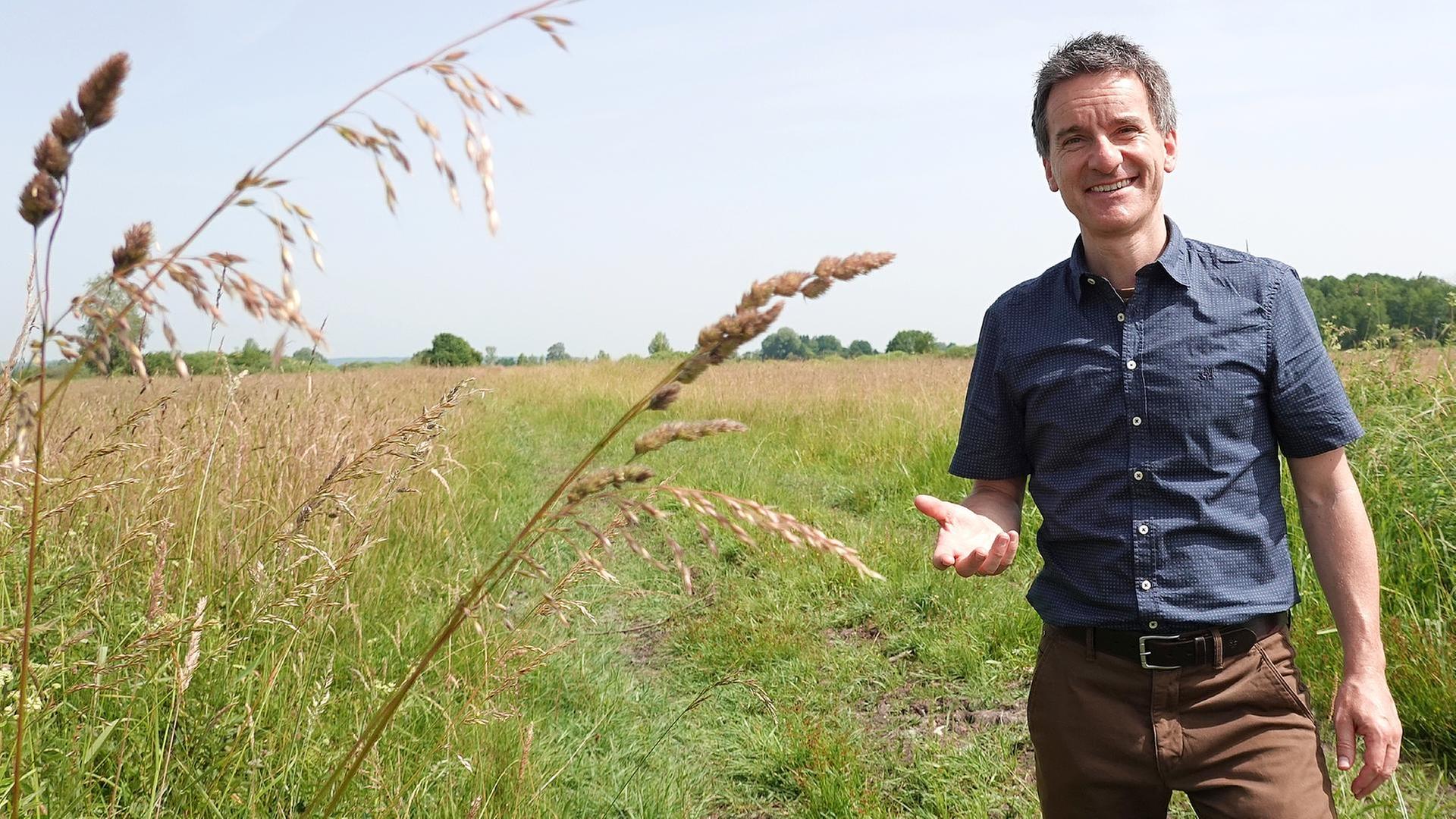 Projekt "Arche Noah", Traudi Siferlinger in Burghausen und mehr ...