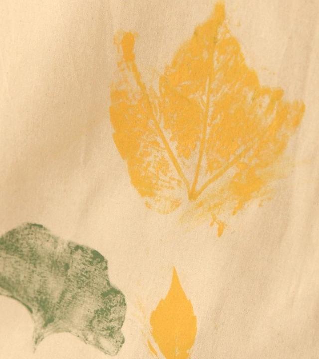 Querbeet vom 03.11.2024: Saatgut und Blätterdruck