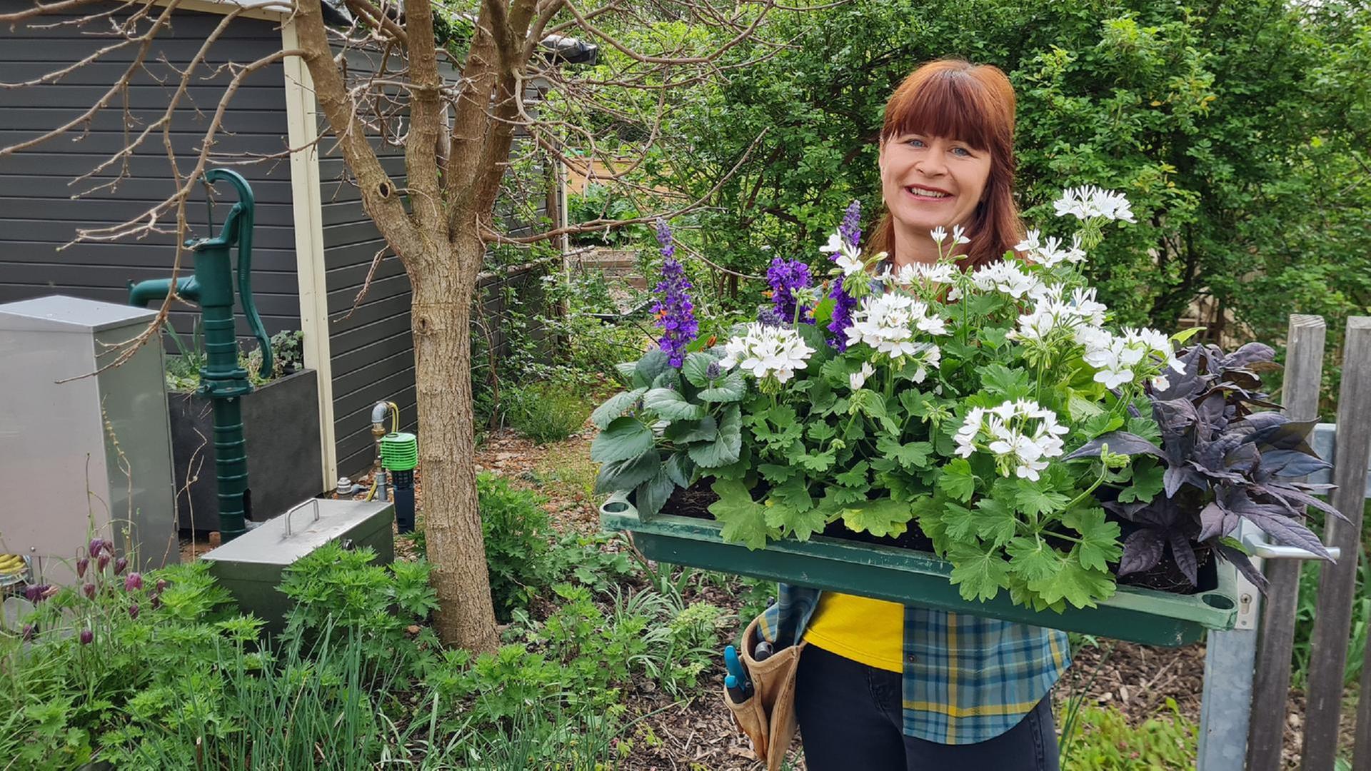 Querbeet vom 15.04.2024: Bayerische Pflanze des Jahres