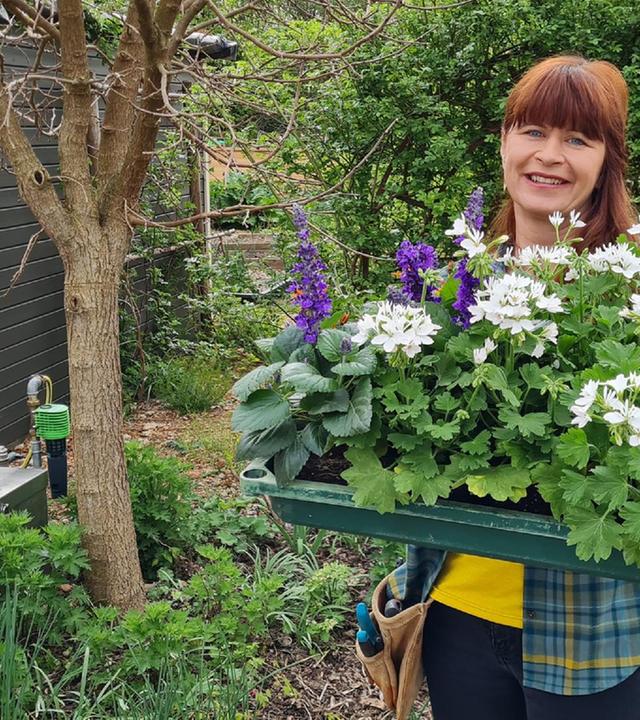 Querbeet vom 15.04.2024: Bayerische Pflanze des Jahres