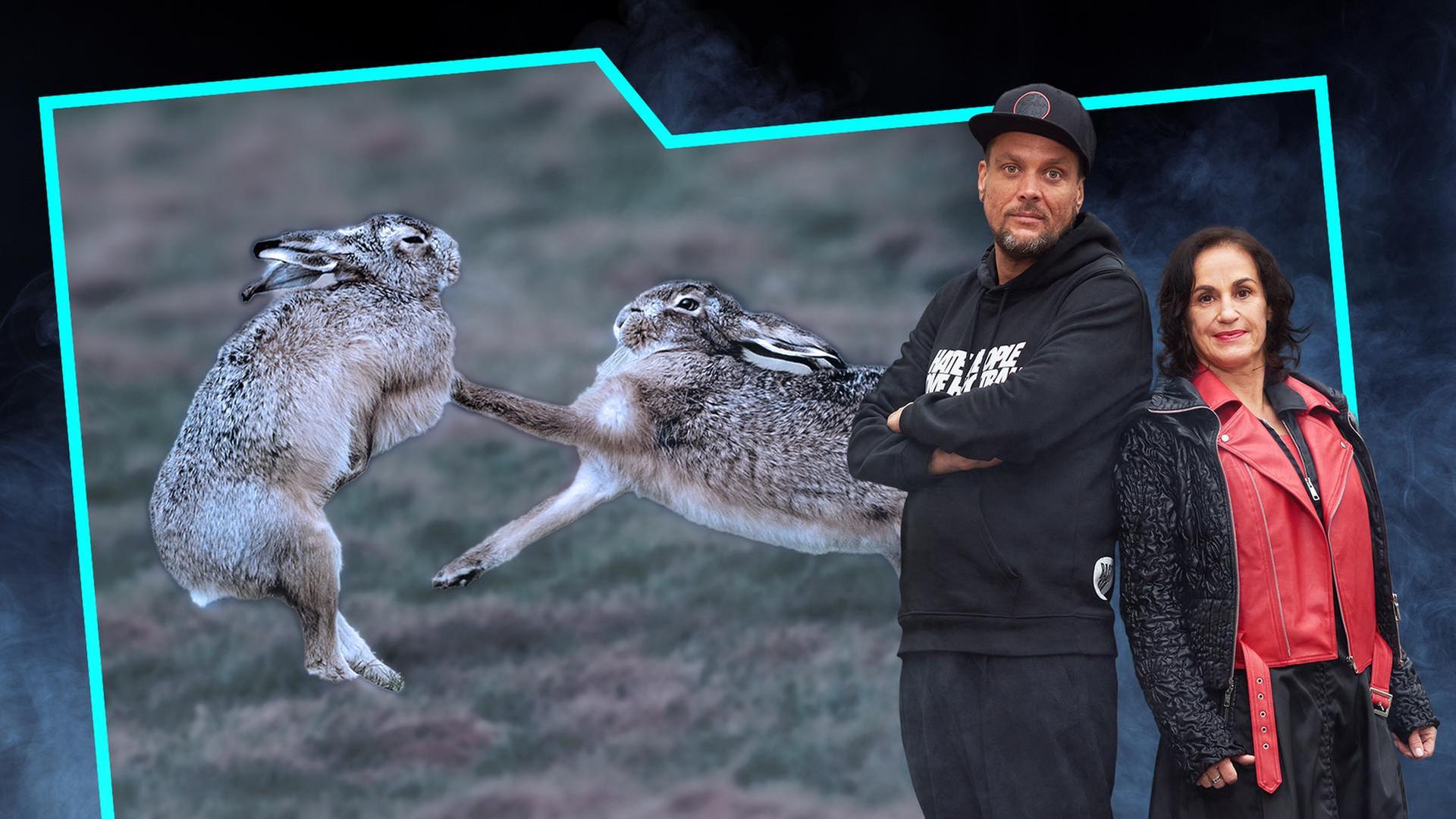 Randale bei der Rammlerschau