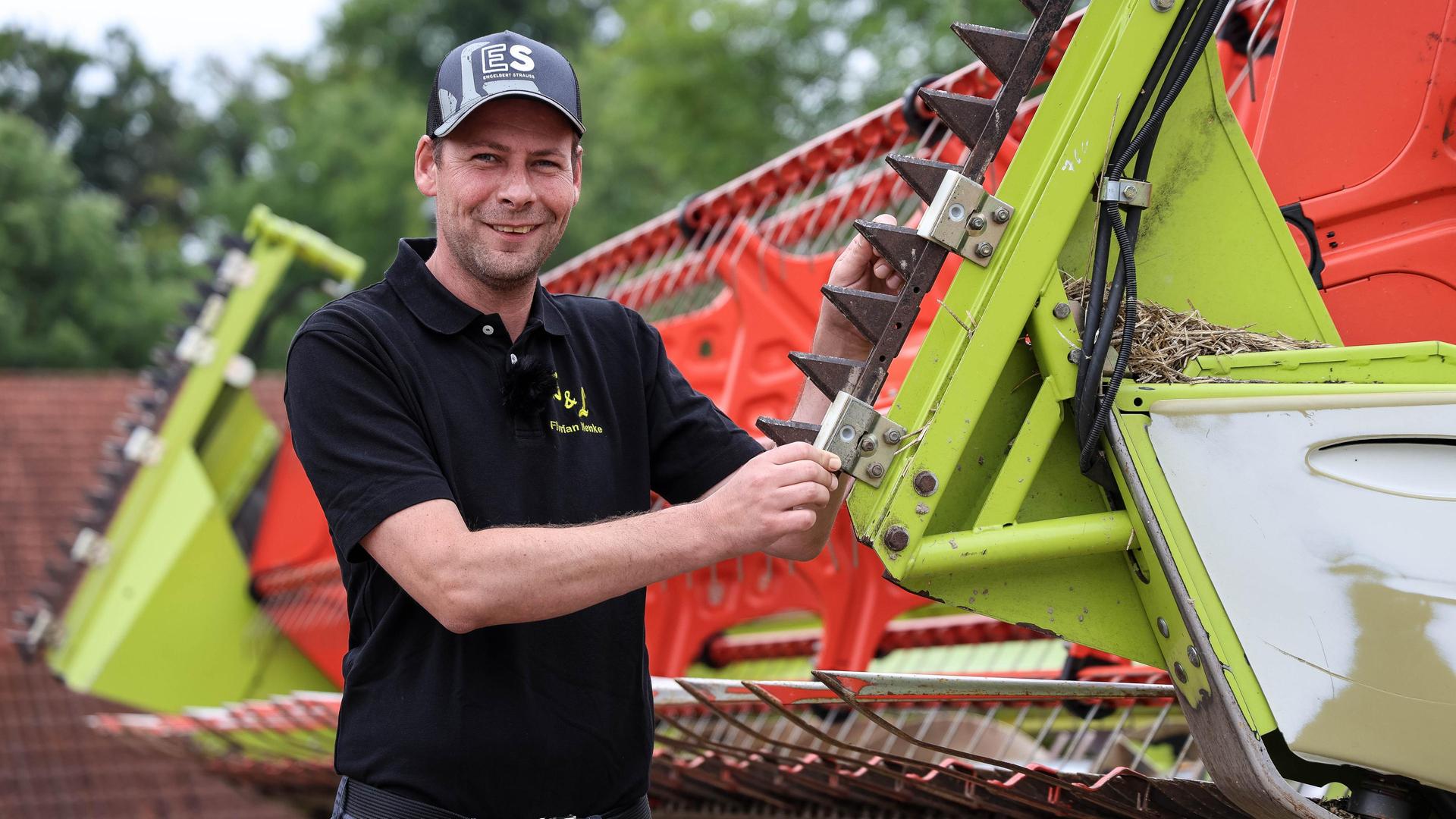 Ranklotzen für den Raps