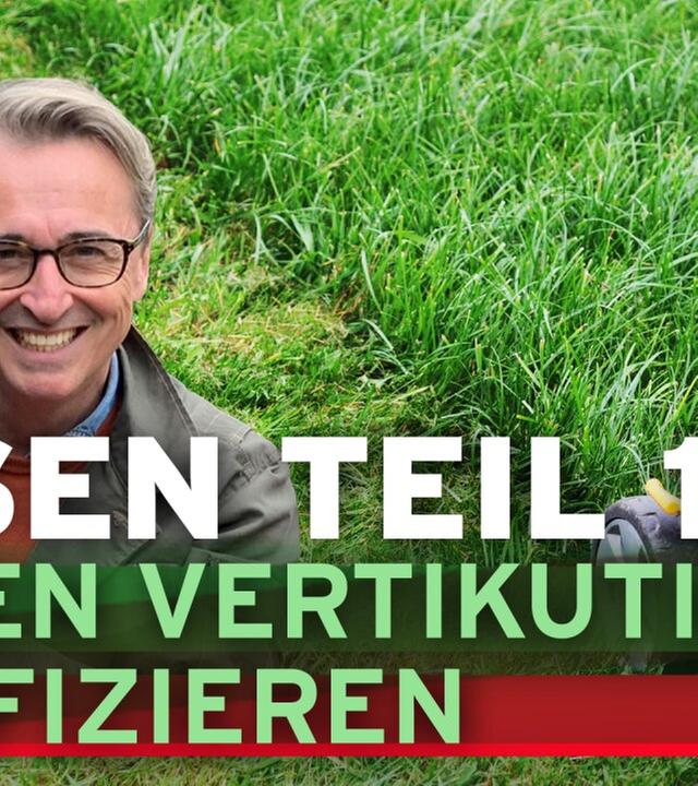 Rasenpflege im Frühjahr - die ersten 3 Schritte zum satten Grün