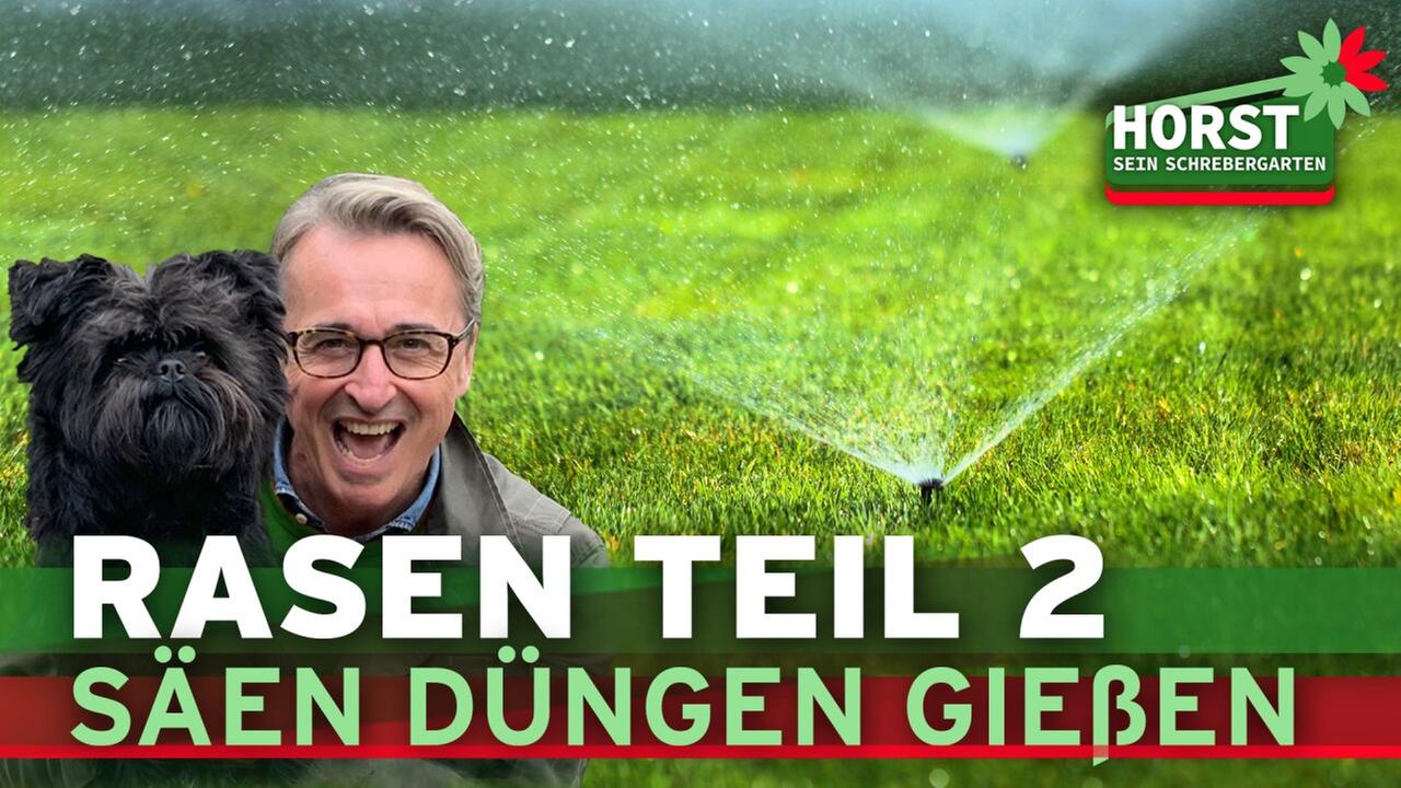 Rasenpflege im Frühjahr - die letzten 3 Schritte zum satten Grün