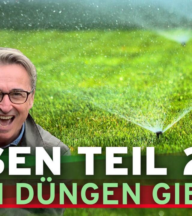 Rasenpflege im Frühjahr - die letzten 3 Schritte zum satten Grün