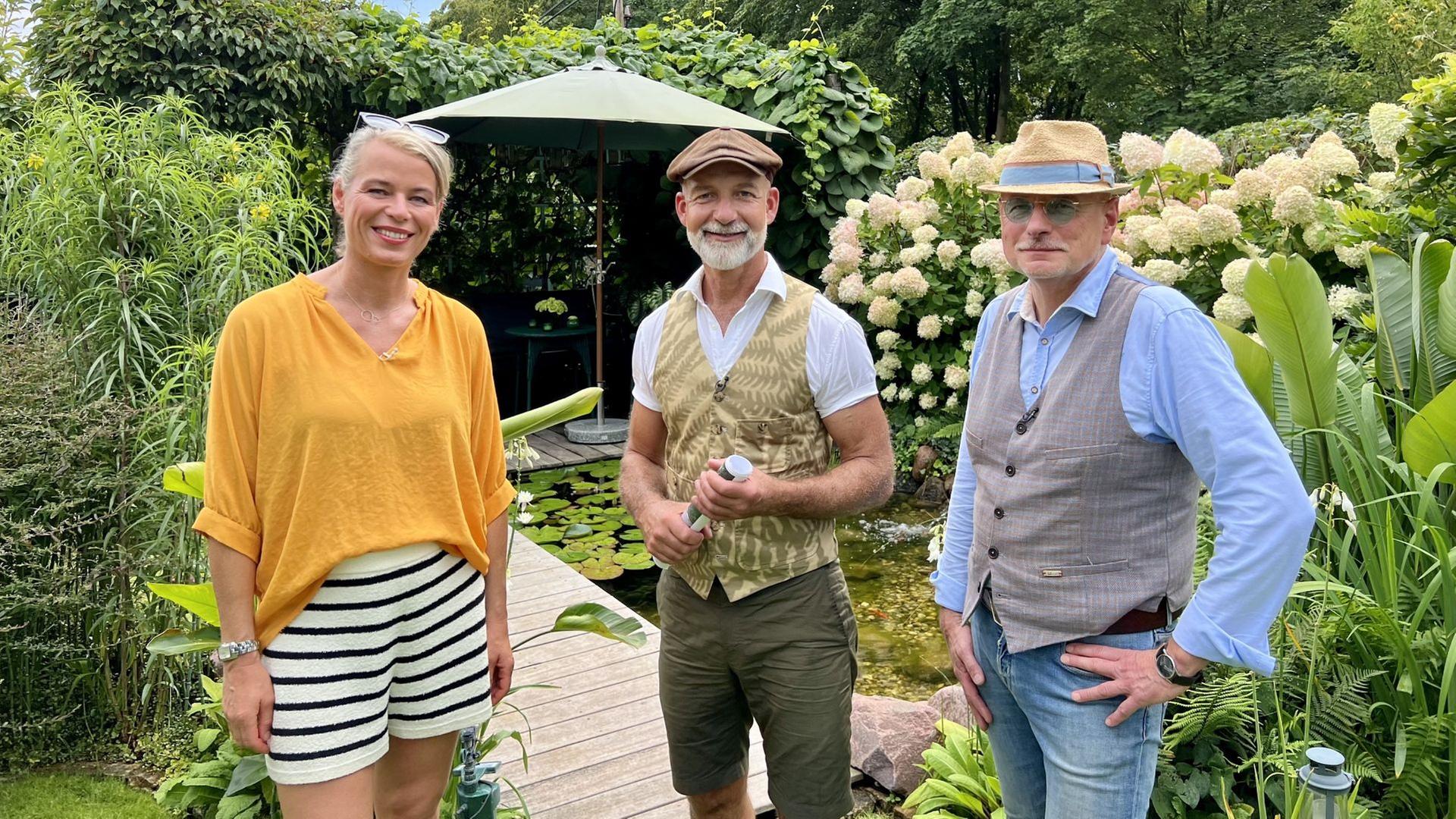 rbb Gartenzeit vom 25.08.2024