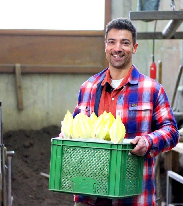 Regionales Superfood mit Bitterstoffen: Chicorée, Kimchi und Schokolade