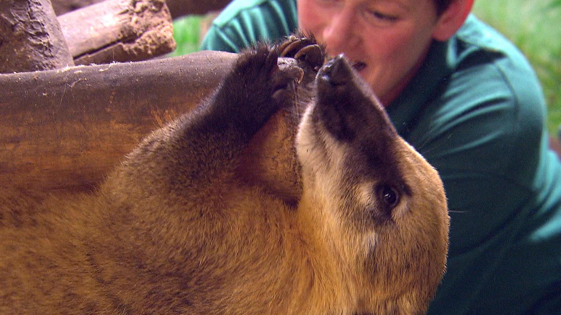Rendezvous im Eismeer