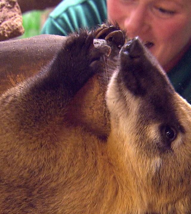 Rendezvous im Eismeer