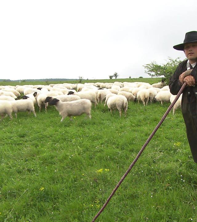 Rhön, Land mit weitem Blick