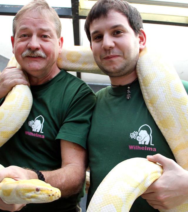 Richtiger Umgang mit Giftschlangen