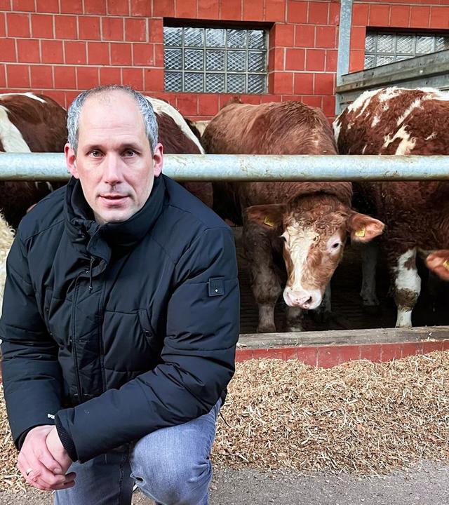 Rinderherpes: Landwirt vor dem Ruin?