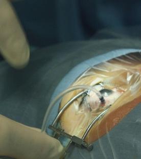 Robotik, Apps und Augmented Reality