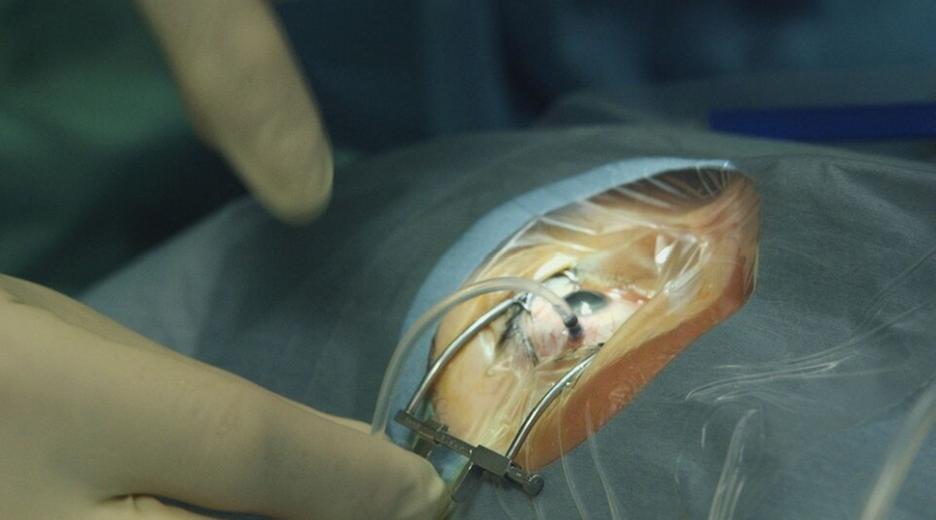 Robotik, Apps und Augmented Reality